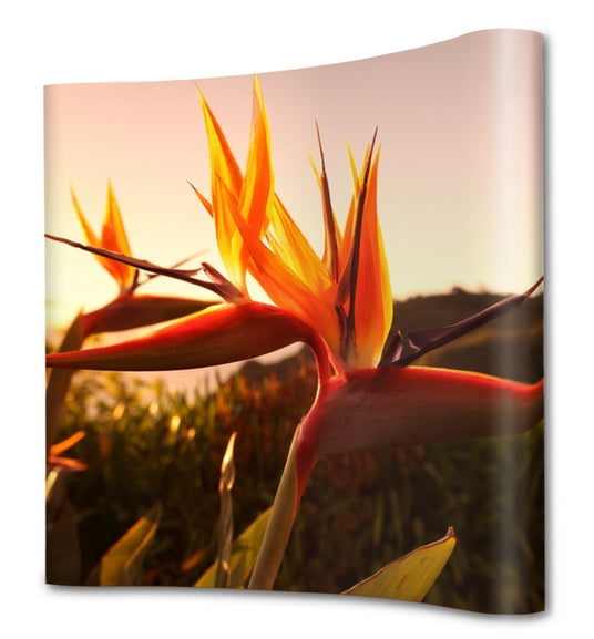 Faltdisplay Messewand Fold-it Pro