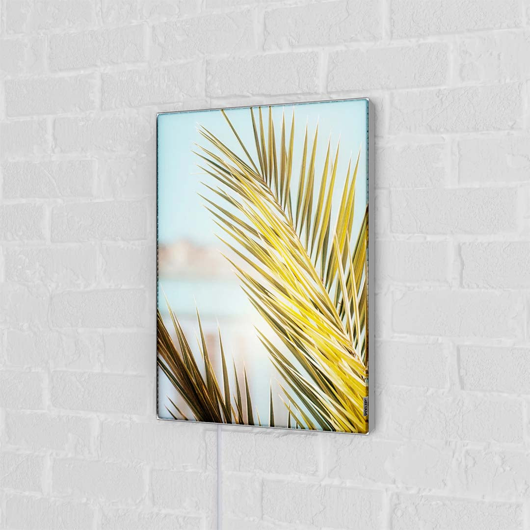 Pixlip Poster - inklusive Druck