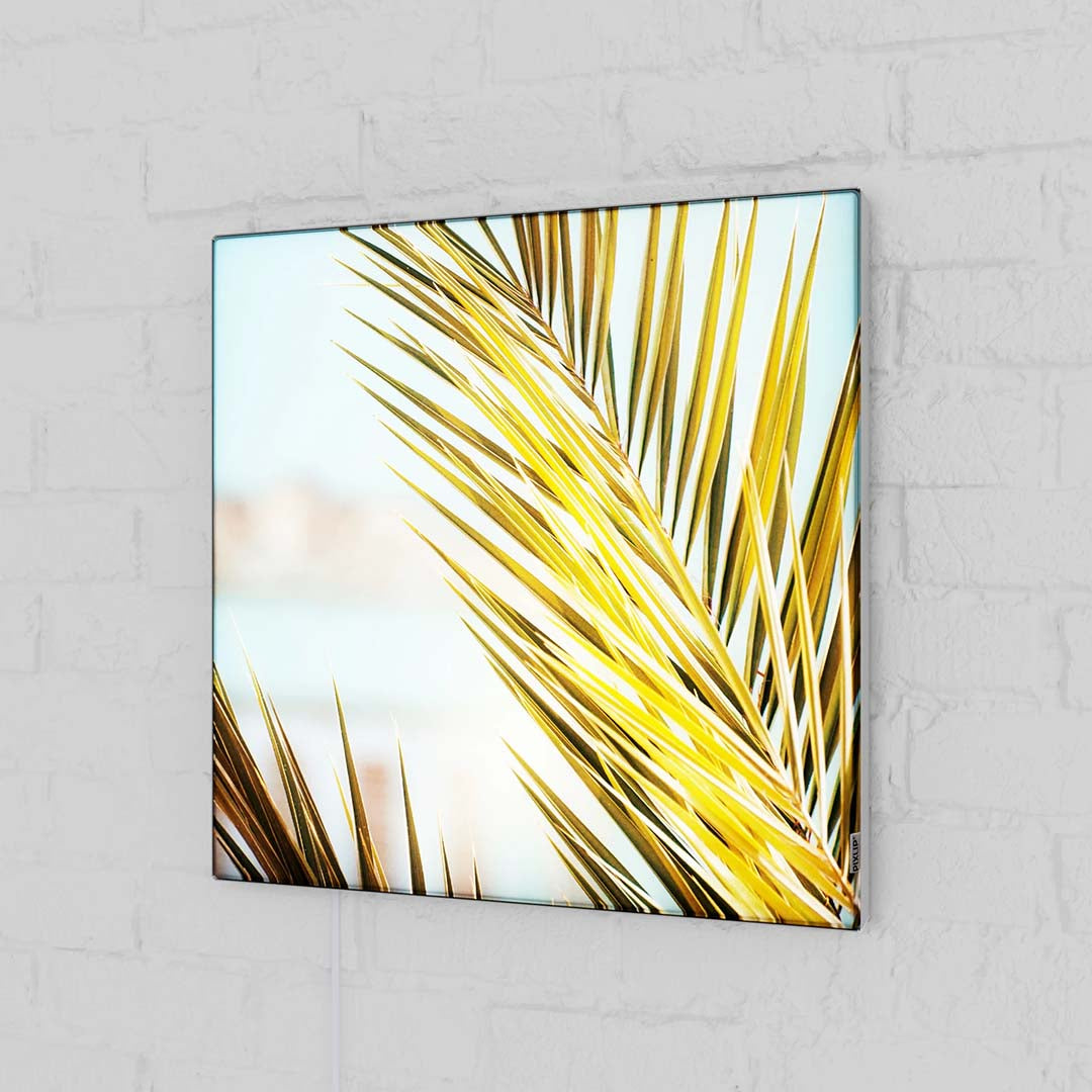 Pixlip Poster - inklusive Druck