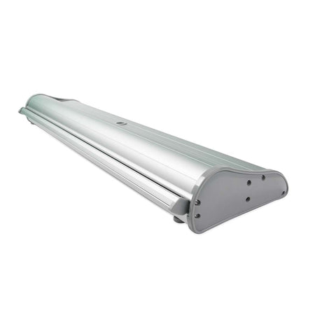Rollup Display Eco